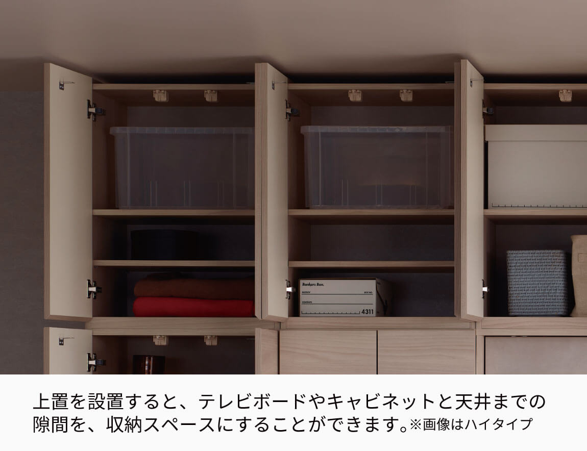 WS 壁面収納テレビボード Case001(幅300cm)