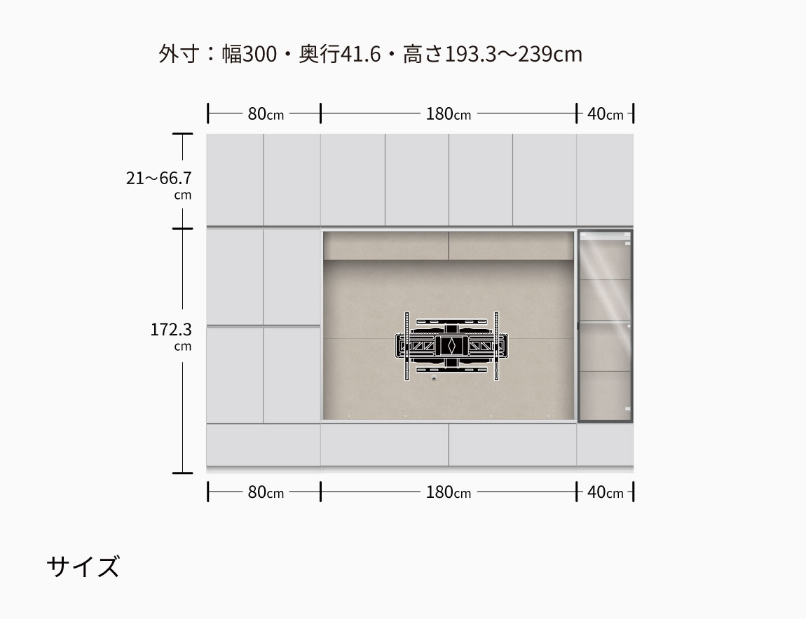 WS 壁面収納テレビボード Case001(幅300cm)