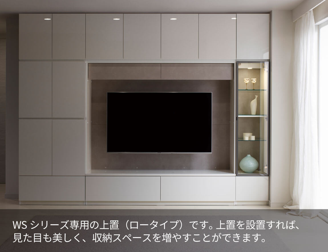 WS専用 上置 ロータイプ