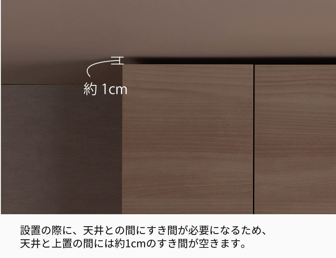 WS専用 上置 ロータイプ